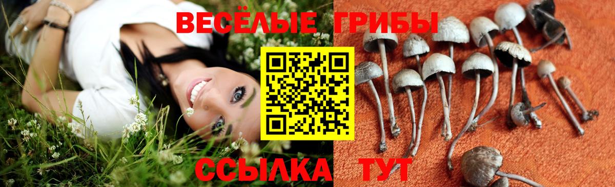Псилоцибиновые грибы Magic Shrooms  дарнет шоп  Моздок  Вход с VPN 